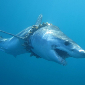 1565320074445421.png image.png